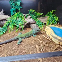 Exploration Place Museum and Science Centre - Prince George