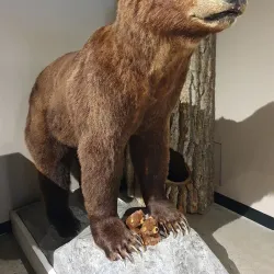 Exploration Place Museum and Science Centre - Prince George