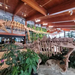 Exploration Place Museum and Science Centre - Prince George