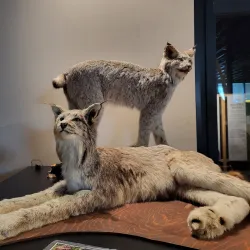 Exploration Place Museum and Science Centre - Prince George