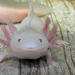 Exploration Place Museum and Science Centre - Prince George