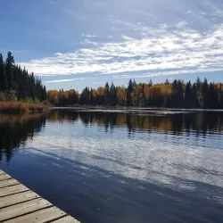 Forest for the World - Prince George