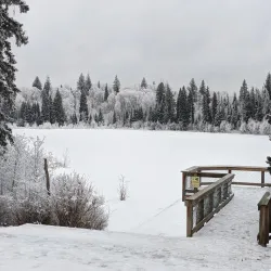 Forest for the World - Prince George