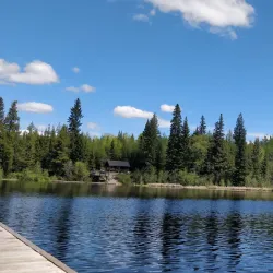 Forest for the World - Prince George