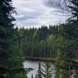 Forest for the World - Prince George