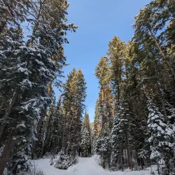 Otway Nordic Centre - Prince George