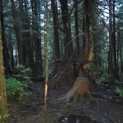 Butze Rapids Park - Prince Rupert