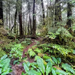 Butze Rapids Park - Prince Rupert