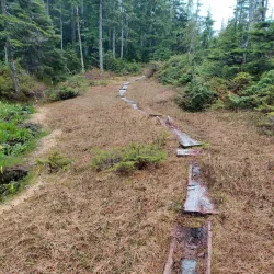 Kaien Island Trail - Prince Rupert