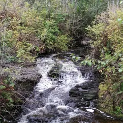 Kaien Island Trail - Prince Rupert