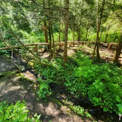 Kaien Island Trail - Prince Rupert