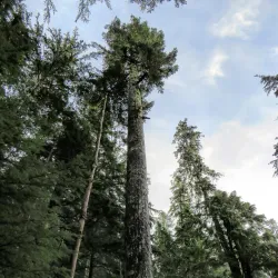 Kaien Island Trail - Prince Rupert