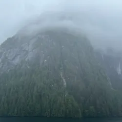 Prince Rupert Harbour - Prince Rupert