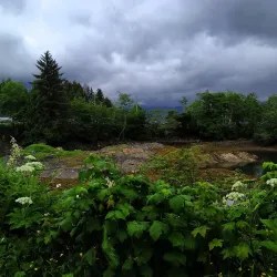 Seal Cove - Prince Rupert