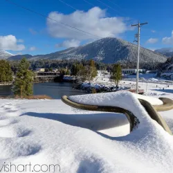 Seal Cove - Prince Rupert