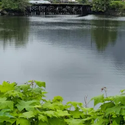 Seal Cove - Prince Rupert