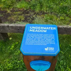 Seal Cove - Prince Rupert