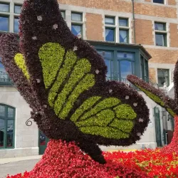 Old Quebec (Vieux-Québec) - Quebec City