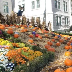 Old Quebec (Vieux-Québec) - Quebec City