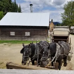 Barkerville Historic Town - Quesnel