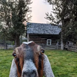 Cottonwood House Historic Site - Quesnel
