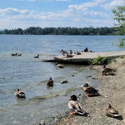 Dragon Lake Park - Quesnel