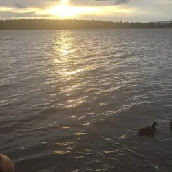 Dragon Lake Park - Quesnel