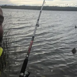 Dragon Lake Park - Quesnel