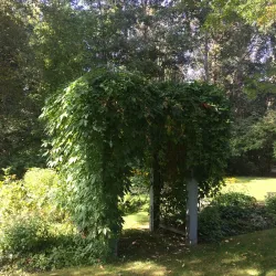 Fraser River Park - Quesnel