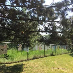 Fraser River Park - Quesnel