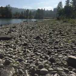 Fraser River Park - Quesnel