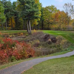 Pinegrove Golf Club - Quesnel