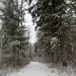 Quesnel Centennial Park - Quesnel