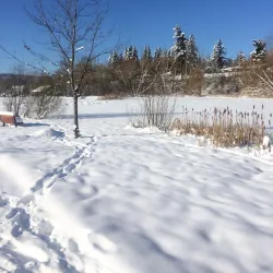 West Fraser Timber Park - Quesnel