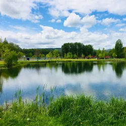 West Fraser Timber Park - Quesnel