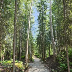 West Fraser Timber Park - Quesnel