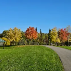 West Fraser Timber Park - Quesnel