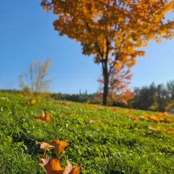West Fraser Timber Park - Quesnel