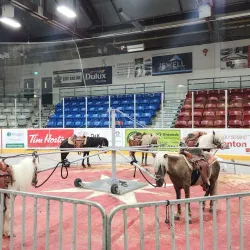 Macdonald Park - Quinte West