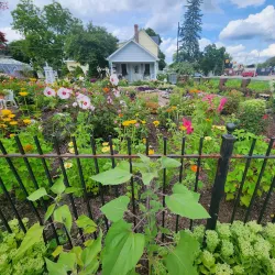 Trenton Cultural Centre - Quinte West