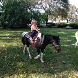 Trenton Cultural Centre - Quinte West