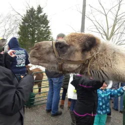 Trenton Cultural Centre - Quinte West