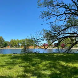 Trenton Park - Quinte West