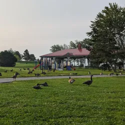 Trenton Park - Quinte West