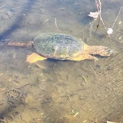 Waterfront Trail - Quinte West