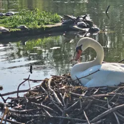 Waterfront Trail - Quinte West