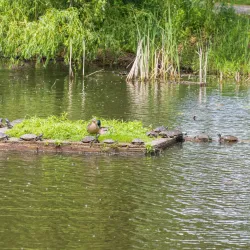 Waterfront Trail - Quinte West