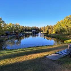 Bower Ponds - Red Deer