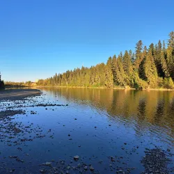 Bower Ponds - Red Deer