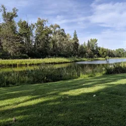 Bower Ponds - Red Deer